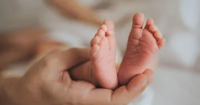 Virginia Senate Passes Extreme Abortion Amendment