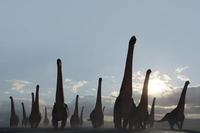 Here's Your First Look at 'Prehistoric Planet' — Apple TV+'s New Dino-Documentary - RELEVANT