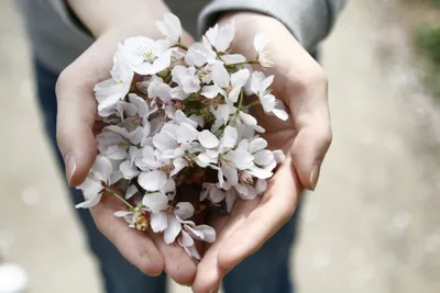 What Does the Bible Say about Generosity?