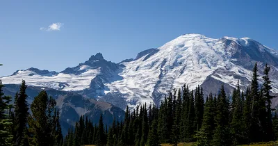 Navy Confirms Deaths of Washington State Aviators