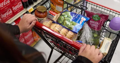 USDA to Cut Food Stamps Next Week amid Congressional Impasse