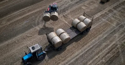 EU Lifts Ban on Ukrainian Grain