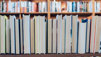 SC Gov Orders Investigation of All School Libraries After 'Gender Queer' Book Found with 'Pornographic' Images