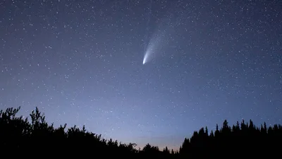 A Biblical 'Wandering Star'? Christmas Comet Makes Last Appearance in Our Solar System