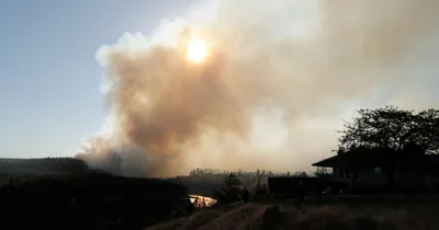 Arson Suspected in Huge Washington Wildfires; Man Arrested