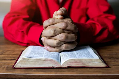Reading the Bible 'like a child' will change your life