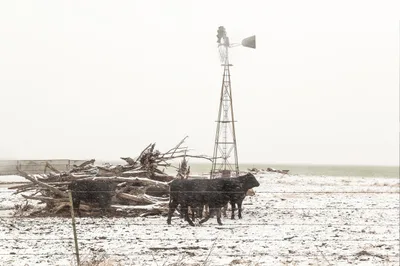 Report: The Texas Winter Storm Death Toll Was Likely Much Higher Than State’s Official Count
