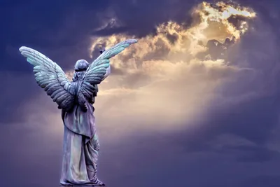 Do We Have a Guardian Angel? A Look at the Evidence