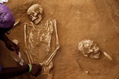 Anthropologists' gender panel canceled because it could be 'harmful' to the LGBT community