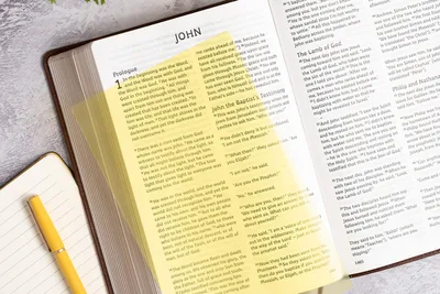 Lifeway introduces CSB Grace Bible for adults with dyslexia | Baptist Press