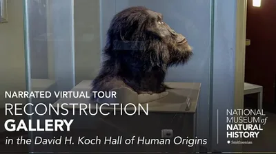 Smithsonian 'obscuring' New Study Finding Greater Gap Between Humans, Apes Than Previously Thought: Geologist