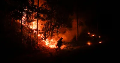 Wildfires Ravage Chile as International Aid Arrives