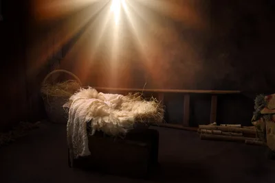 Theology of Christmas needs more emphasis, profs & pastor say | Baptist Press
