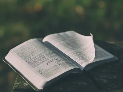 Hundreds of Thousands of Students to Take Part in 'Bring Your Bible to School Day'