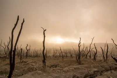 Revelation 7: Who's Behind the Weather? The Supernatural