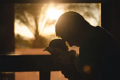 What My Father’s Funeral Taught Me About the Crisis of Fatherhood