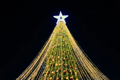 What Was the Star That the Wise Men Followed?
