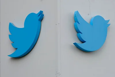 Israeli Tech Consultant Sees Pros, Cons to Musk Twitter Takeover, Prospects for Free Speech