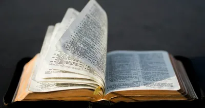 Vast Majority of People Skeptical of AI Bible Study Tools