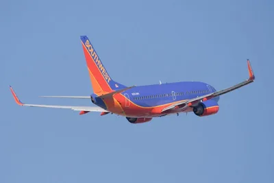 Christian Flight Attendant Fired Over Opposition to Union's Support of Women's March, Lawsuit Claims