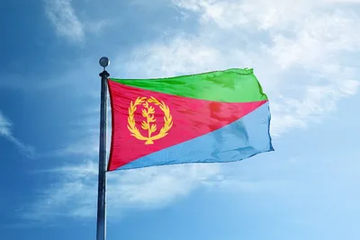 Pope Francis appoints apostolic visitor for Eritrean Catholics in US and Canada