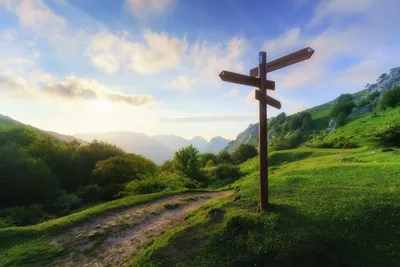Half of Pastors Satisfied with Their Church’s Discipleship, Lifeway Research Shows | Baptist Press
