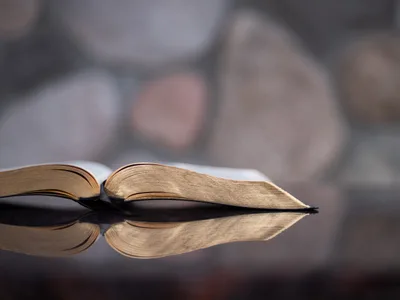 Scriptural Narrative and the Future of the Church