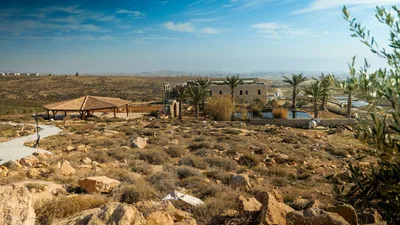 Israeli Farmers Are Bringing the Bible to Life in Biblical Judea