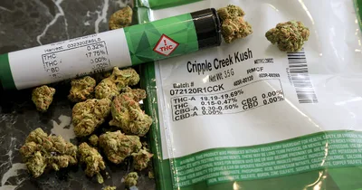 DEA reviews lowering classification of Marijuana