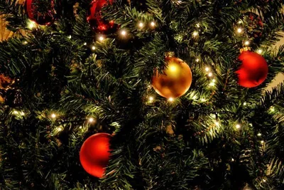 Massachusetts Library to Display Christmas Trees after Backlash, Claims 'there is no ban on Christmas'