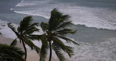 Powerful Hurricane Beryl to Make Landfall in the Caribbean