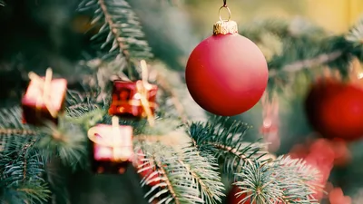 Human Rights Commissioner Resigns After Mocking God, Cursing Christians over Christmas Tree Debacle
