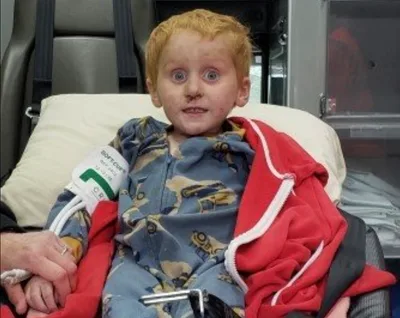 3-Year-Old Miraculously Survives After Wandering Bear and Mountain Lion-Filled Wilderness Alone for Two Days