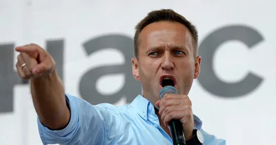 Russian opposition leader Alexei Navalny found