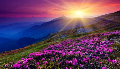 Does Atheism Usher in Utopia?