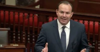 Senate to Act on Moving Gay Marriage Bill Toward Final Vote