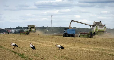 Russia Ends Wartime Grain Deal with Ukraine