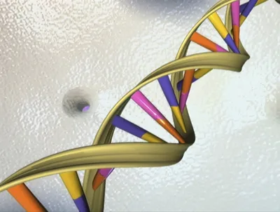 Genetics disproves Adam and Eve? Not so fast