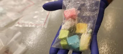 15,000 Rainbow Fentanyl Pills Found in Lego Box, Largest Seizure of Deadly Drug in NYC History