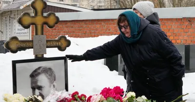 Putin foe Navalny killed by frog toxin, other countries say