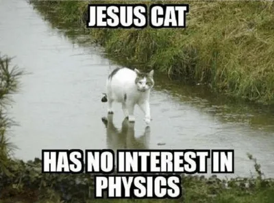 University Researchers Studying Religion in Internet Memes - RELEVANT