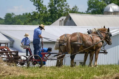 Amish Put Faith in God’s Will & Herd Immunity Over Vaccine