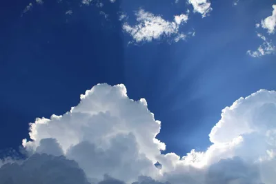 ospitalized for 147 Days on a Ventilator, COVID Patient Was 'Suffocating to Death,' but She Believes God Sent Her This Sign in a Dream