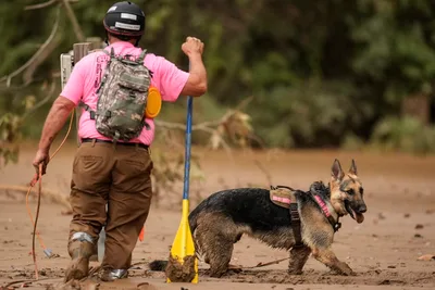 Crews Search for Survivors in North Carolina's Mountains Days after Helene's Deluge | Baptist Press