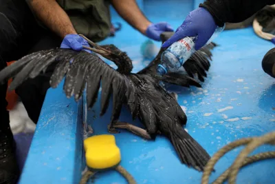 Peru bishop warns of harm to environment, livelihoods from oil spill