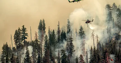 Yosemite wildfire threatens sequoias