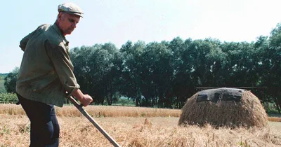 Russia strikes Ukrainian grain terminals