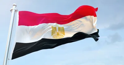 Arrest of Christians in Egypt over TikTok comedy video condemned