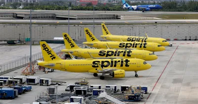 Budget carrier Spirit Airlines goes belly up