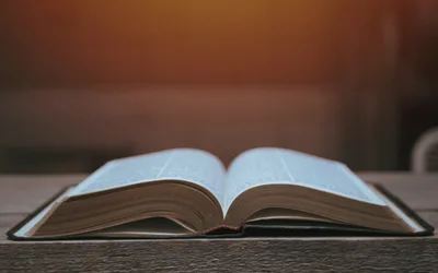 How Should We Understand the Relationship between God, Free Will and the Fall?